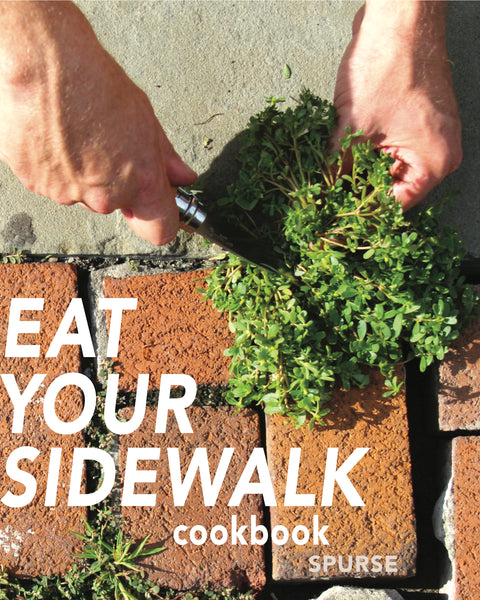 Eat Your Sidewalk Cookbook